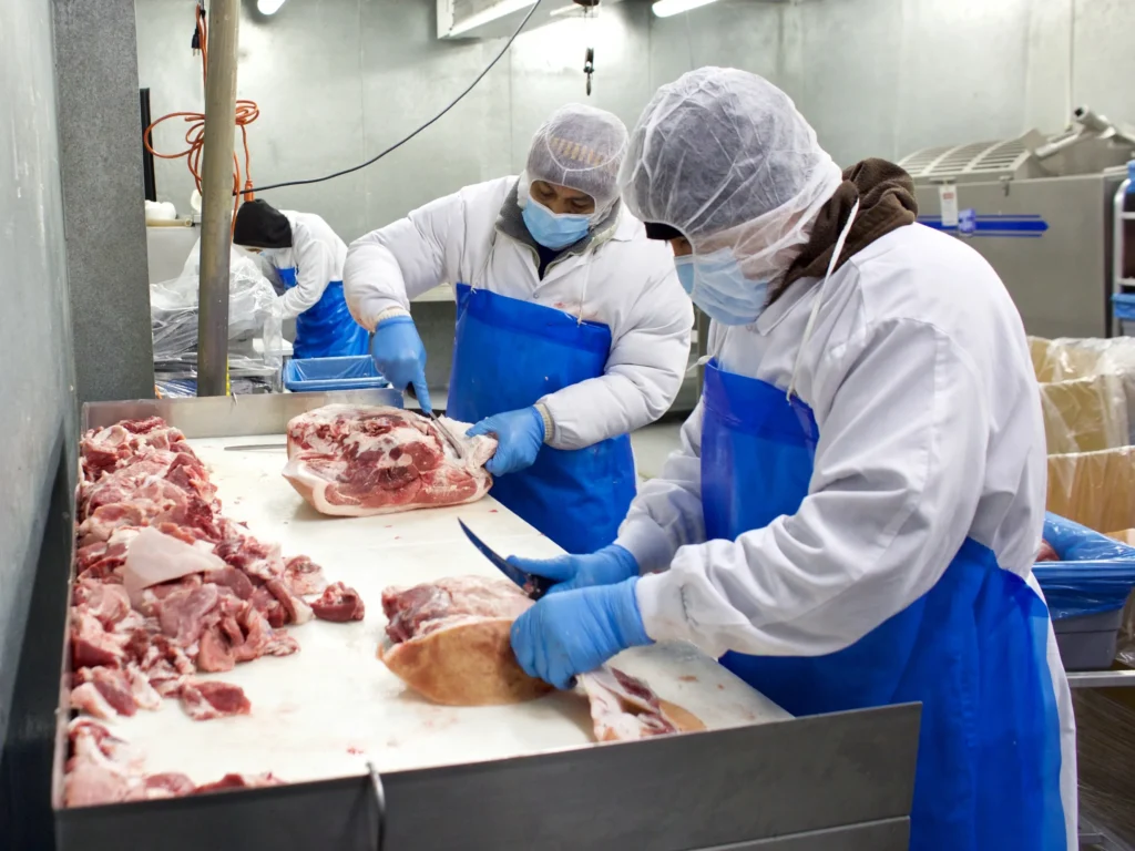 Leading B2B meat supplier
