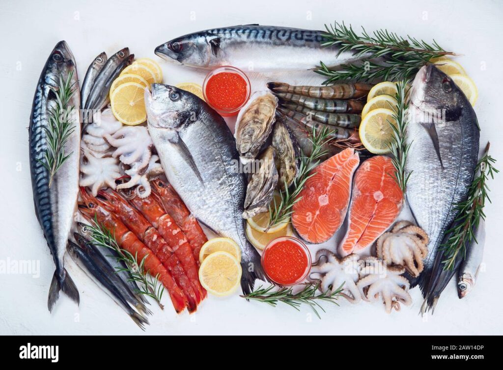 Bulk Seafood & Meat Distributor in Goa